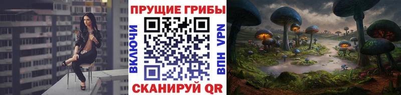 Псилоцибиновые грибы Psilocybine cubensis Ефремов