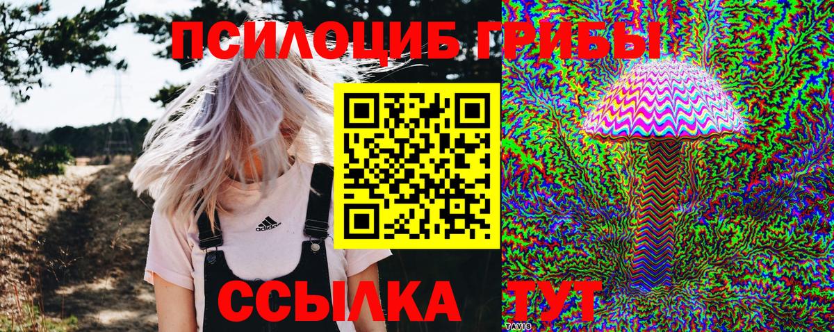 как найти   Ефремов  Галлюциногенные грибы Magic Shrooms 